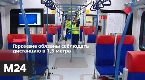 "Это наш город": в московском метро появилась разметка для соблюдения дистанции - Москва 24
