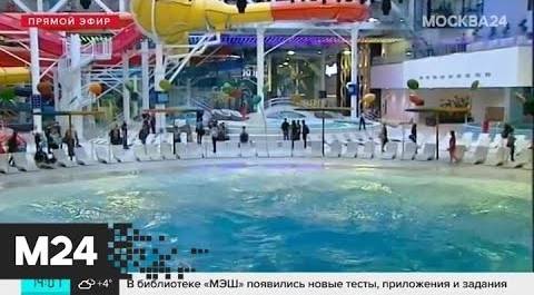 Дворец водных видов спорта в "Лужниках" откроется 17 ноября - Москва 24