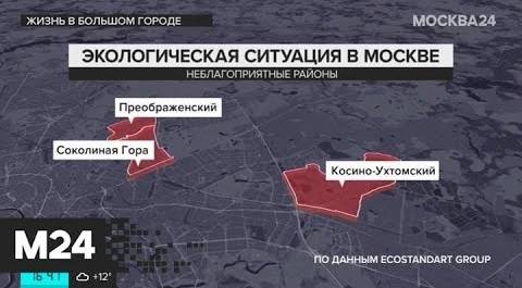 "Жизнь в большом городе": "Экология мегаполиса" - Москва 24