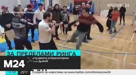 Соревнования по джиу-джитсу в Красногорске завершились дракой - Москва 24