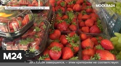 "Городской стандарт": ягоды - Москва 24