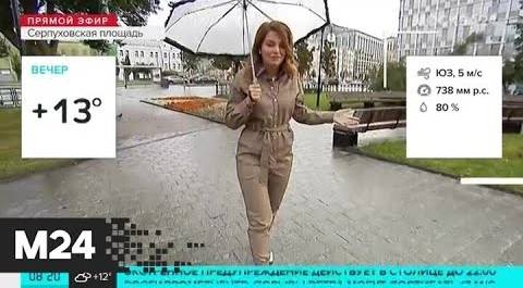 "Утро": влажность воздуха в Москве в четверг составит 80% - Москва 24