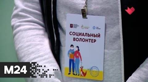 "Это наш город": 300 тысяч заданий выполнили столичные волонтеры за месяц - Москва 24