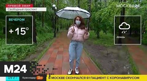"Утро": высокая влажность ожидается в столице 3 июня - Москва 24