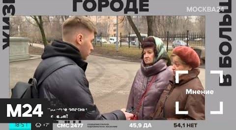 "Жизнь в большом городе": болезни животных - Москва 24