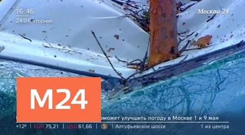 "Жизнь в большом городе": последствия урагана - Москва 24