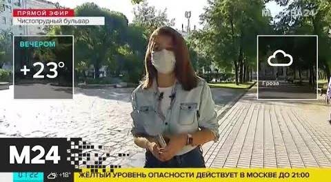 "Утро": температура воздуха в Москве составляет плюс 19 градусов - Москва 24
