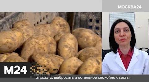 "Городской стандарт": овощные отделы - Москва 24