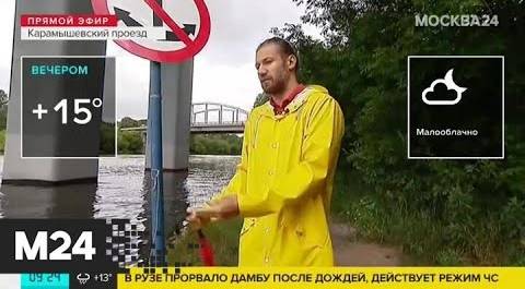 "Утро": дождевой фронт покинул Москву - Москва 24