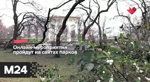 "Это наш город": онлайн-мероприятия подготовили 17 парков Москвы для столичных жителей - Москва 24