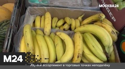 Бананы с вирусом. Городской стандарт  - Москва 24