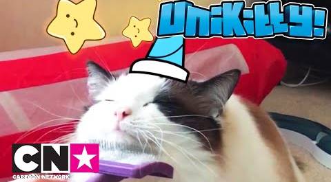 Юникитти | Настоящие кошки с рогом | Cartoon Network