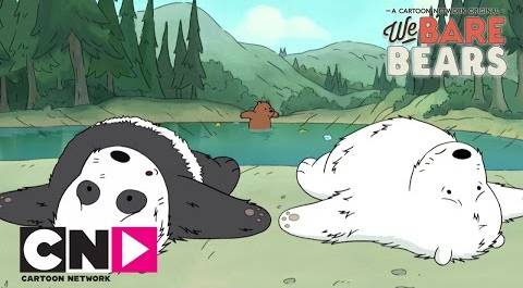 Пикник | Вся правда о медведях | Cartoon Network