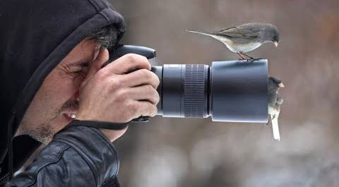 Чемпионат по фотоохоте на птиц прошел в Беларуси