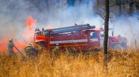 Лесные пожары бушуют в девяти регионах России