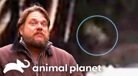 Did Local Utah Teens Capture Bigfoot on Video? | Finding Bigfoot | Animal Planet