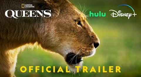 QUEENS | Official Trailer | National Geographic