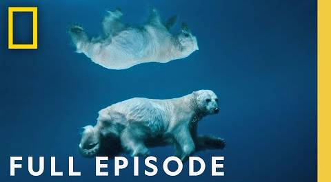 Win or Die: Underwater with Paul Nicklen & Cristina Mittermier (Full Episode) | Photographer