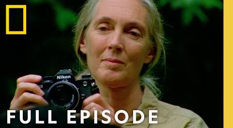 Jane Goodall: An Inside Look (Full Episode) | National Geographic