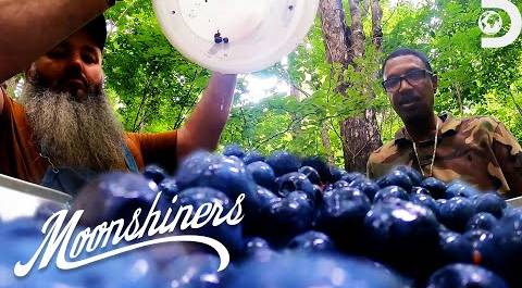 Making Blueberry Lemonade Alcohol | Moonshiners | Discovery