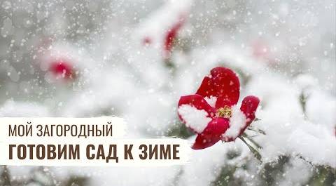 Готовим сад к зиме \ Мой Загородный \ 11 серия