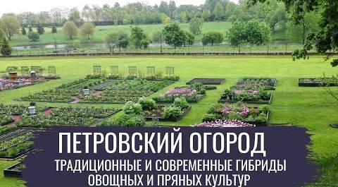 Петровский огород \ Современный огород