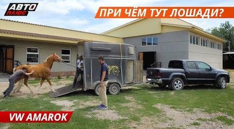 Экспедиция по Казахстану на VW Amarok. Часть 3 | Своими глазами