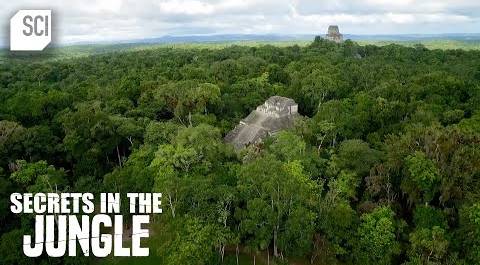 A Mayan Embassy Built in the Middle of Tikal? | Secrets in the Jungle | Science Channel