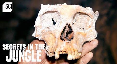 Thousands of Human Bones Found in Belizean Cave | Secrets in the Jungle | Science Channel