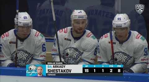 Shestakov first KHL goal