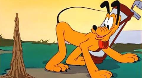 Шутки-минутки! - 50 - Кэдди или пёс на побегушках | Мультфильм Disney | Классический Микки Маус