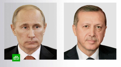 Эрдоган в разговоре с Путиным предложил ему встречу с Зеленским
