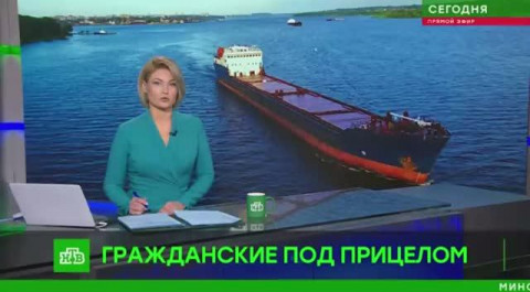 Украинские военные обстреляли грузовое судно РФ в Азовском море
