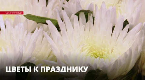 Накануне 8 марта в Петербург привезли почти 10 тонн цветов