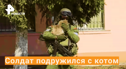 Российский солдат играется с котиком / РЕН Новости