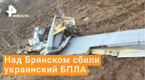 Российские ПВО сбили ударный украинский беспилотник под Брянском