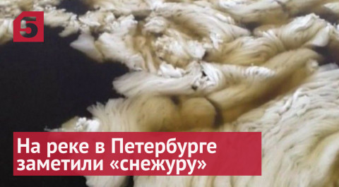 На реке в Петербурге ученые зафиксировали явление «снежура»
