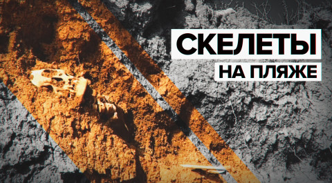 В Крыму на пляже обнаружили древние человеческие останки — видео