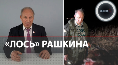Рашкин признался в убийстве лося | Депутат от КПРФ записал видеообращение
