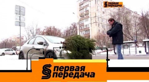 "Первая передача": правила перевозки новогодней елки и подготовка к зимнему автопутешествию