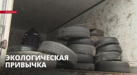 Жителей Ленобласти приглашают сдать старые автомобильные шины на утилизацию в специальные пункты