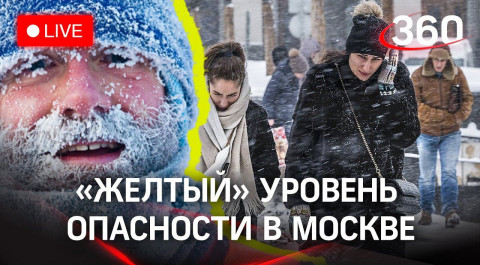 Шквалистый ветер, мощный снегопад и гололёд. В Москве объявлен "жёлтый" уровень погодной опасности
