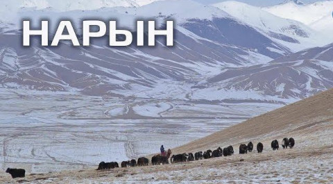 Пять причин поехать в Кыргызстан. Нарын