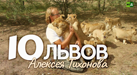 Десять львов Алексея Тихонова