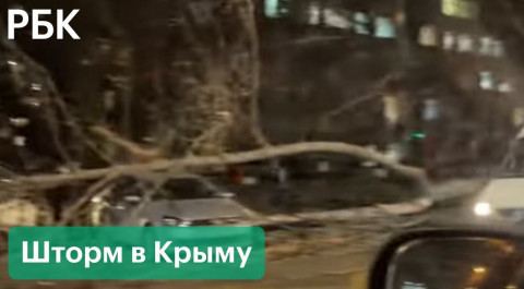 Шторм из Турции обрушился на Крым. Кадры разрушительной стихии