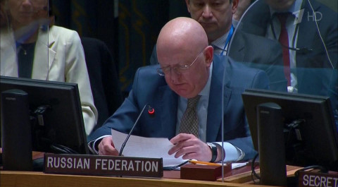 Совет Безопасности ООН не принял никаких решений по гуманитарной ситуации на Украине