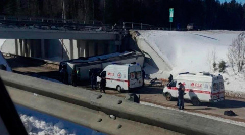 В Подмосковье рейсовый автобус пробил отбойник и упал с эстакады на дорогу